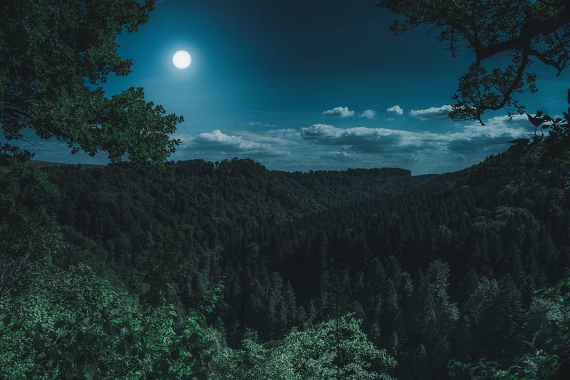 Moon Night Sky